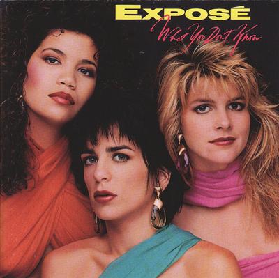 CD EXPOSE - What You Don't Know ARCD8532 Arista 1989 US Rock Used