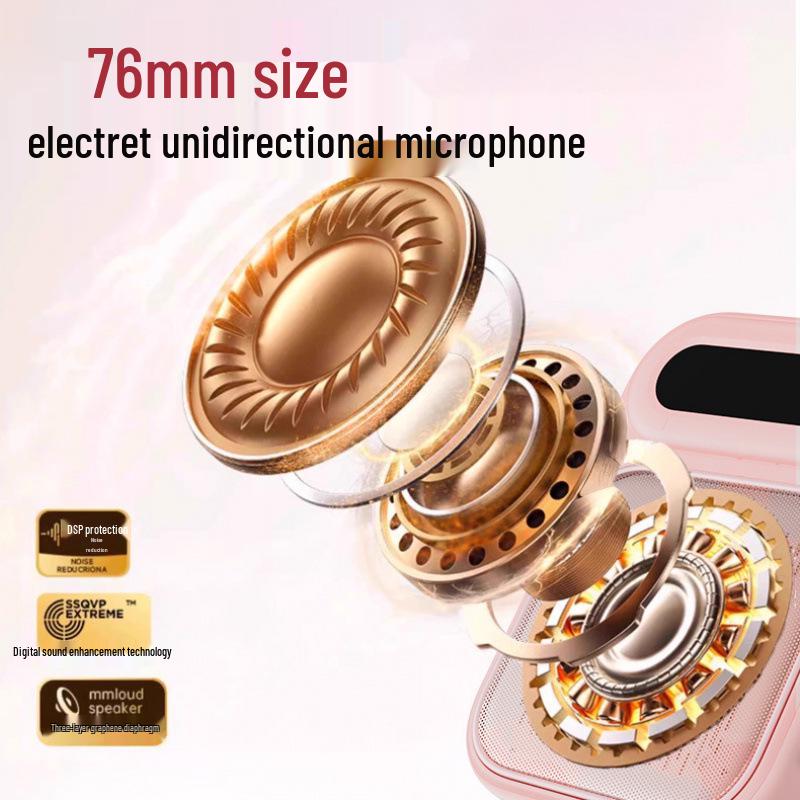 Little Bee Wireless Lavalier Microphone for Teachers and Tour Guides with High Volume Speaker