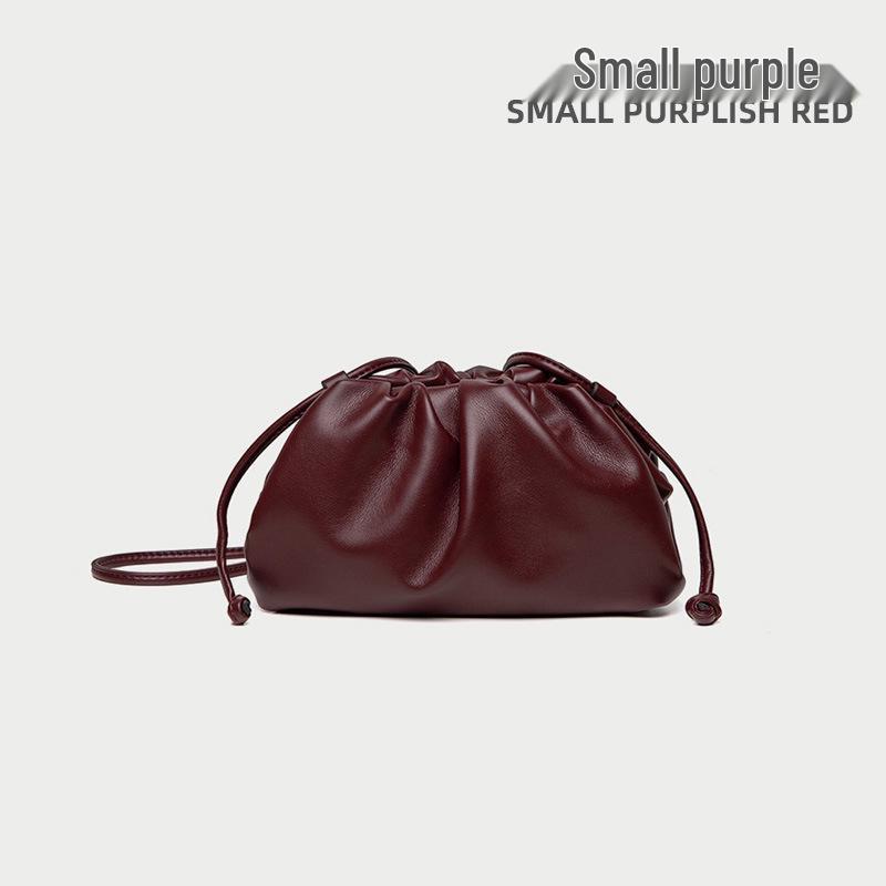 High-End Textured Cloud Dumpling Women's Shoulder Bag - Niche Pleated Design