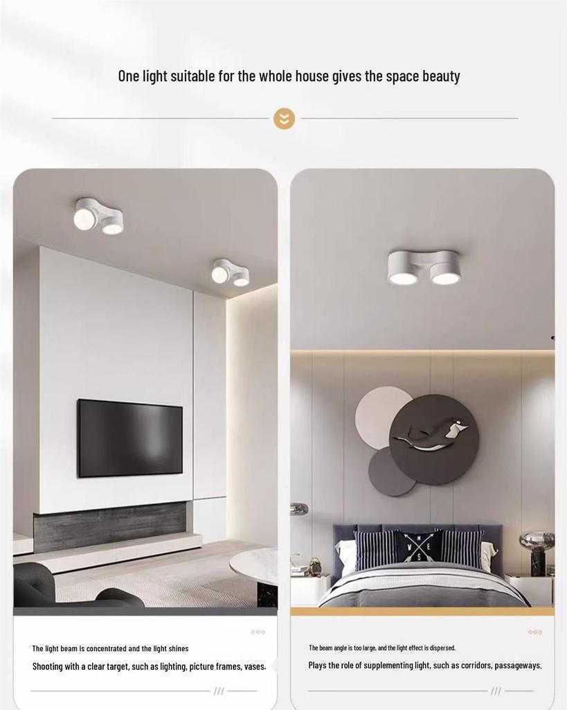 Adjustable LED Double-Head Smart Ceiling Spotlight for Living Room and Aisle