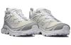 SALOMON XT 6 Expanse 'Vanilla Ice Aloy' 417414