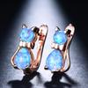 Japanese Mini Creative Earrings Blue Opal Cat Ear Buckles Small Cartoon