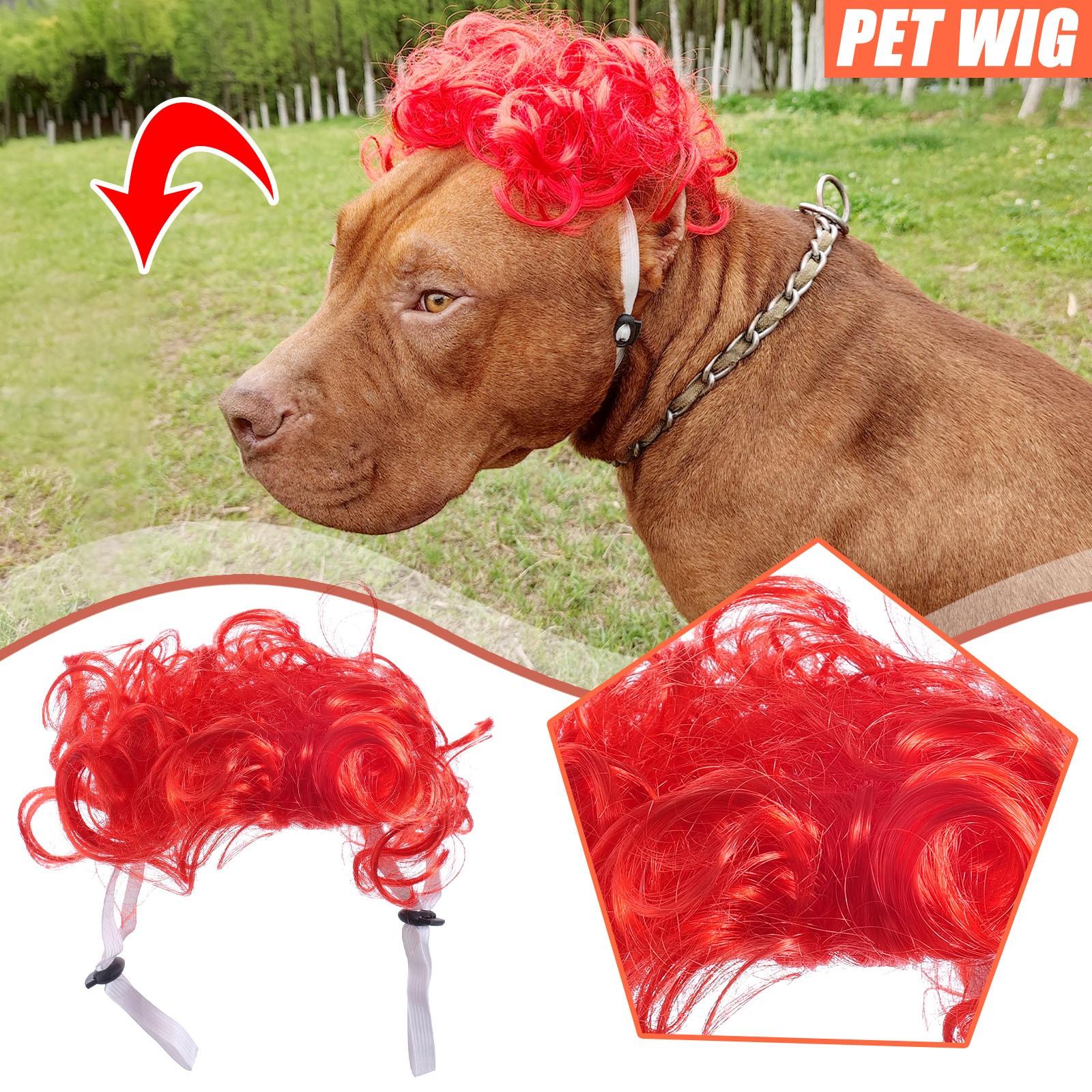 

Pet Cat Dog Funny Show MOE Wig Explosives Head With Fringe Small Braids Wig