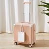 Lishen 20-inch Spinner Luggage with Code Lock