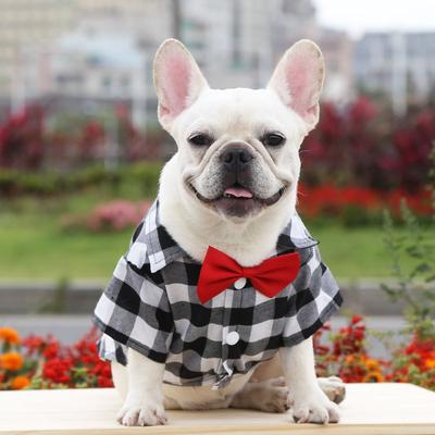 Abbigliamento e scarpe – Gilet e camicie per cani