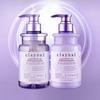 CLAYNAL Amino Acid Mineral Mud Hair Care Set