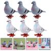 6pcs Wind-Up Jumping Pigeon Toys for Kids