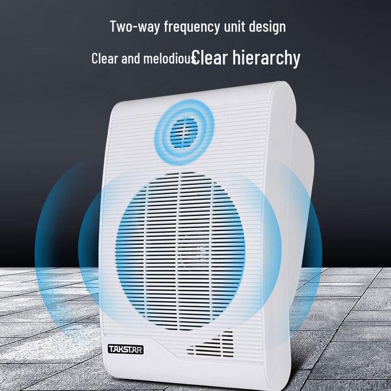 TAKSTAR MG-620W High-Fidelity Wall-Mounted Speaker (CN version)