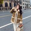 Fur Integrated Lamb Wool Coat Women's Winter New Plush Warm Suede Plush Coat