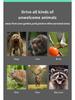 High-Power Multifunctional Animal Repeller: Bird, Snake, Mouse Control for Outdoors