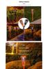 Waterproof Outdoor Solar Mosquito & Insect Killer Lamp for Garden & Courtyard