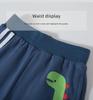 Dinosaur Print Cotton Boy's Casual Sports Pants – Kids' Trendy Trousers
