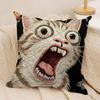 2D Scream Animals Retro Cushion Cover Silky Short Plush Invisible Zipper Dustproof Sofa Pillow Case For Home Decor
