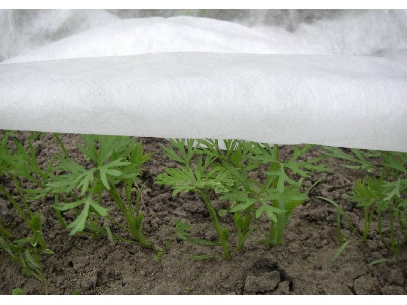 Spring agrotextile white 17g 1.6m x 5m