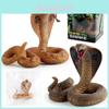 Realistic Pvc Cobra Model Snake For Home Decor With Vibrant Colors And Detailed Features
