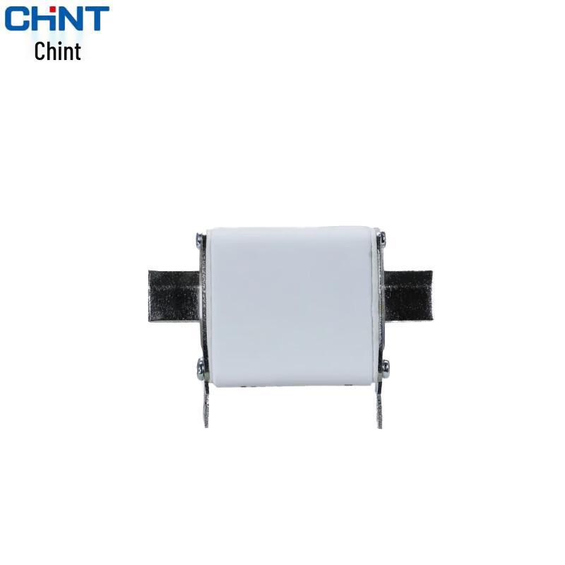 Chint RT36 Fuse