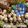 Halloween Mini Resin Skull Set 20 Piece for Terrarium Plant Pot Display and Table Scene Styling for Indoor Use