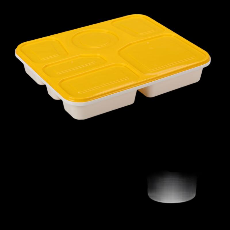 

Yuanzhenghe Disposable Compartmented Food Container Set