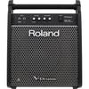 Roland PM-100 Personal Monitor, Compact Monitor Speaker with Maximum Output of 80W, for V-Drums