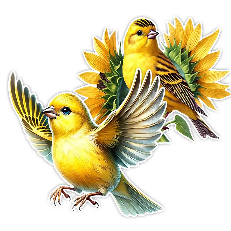Canary Car Sticker Vinyl Decal Waterproof Rear Window Motorcycle Camper Bumper Truck Laptop Decoration Y05