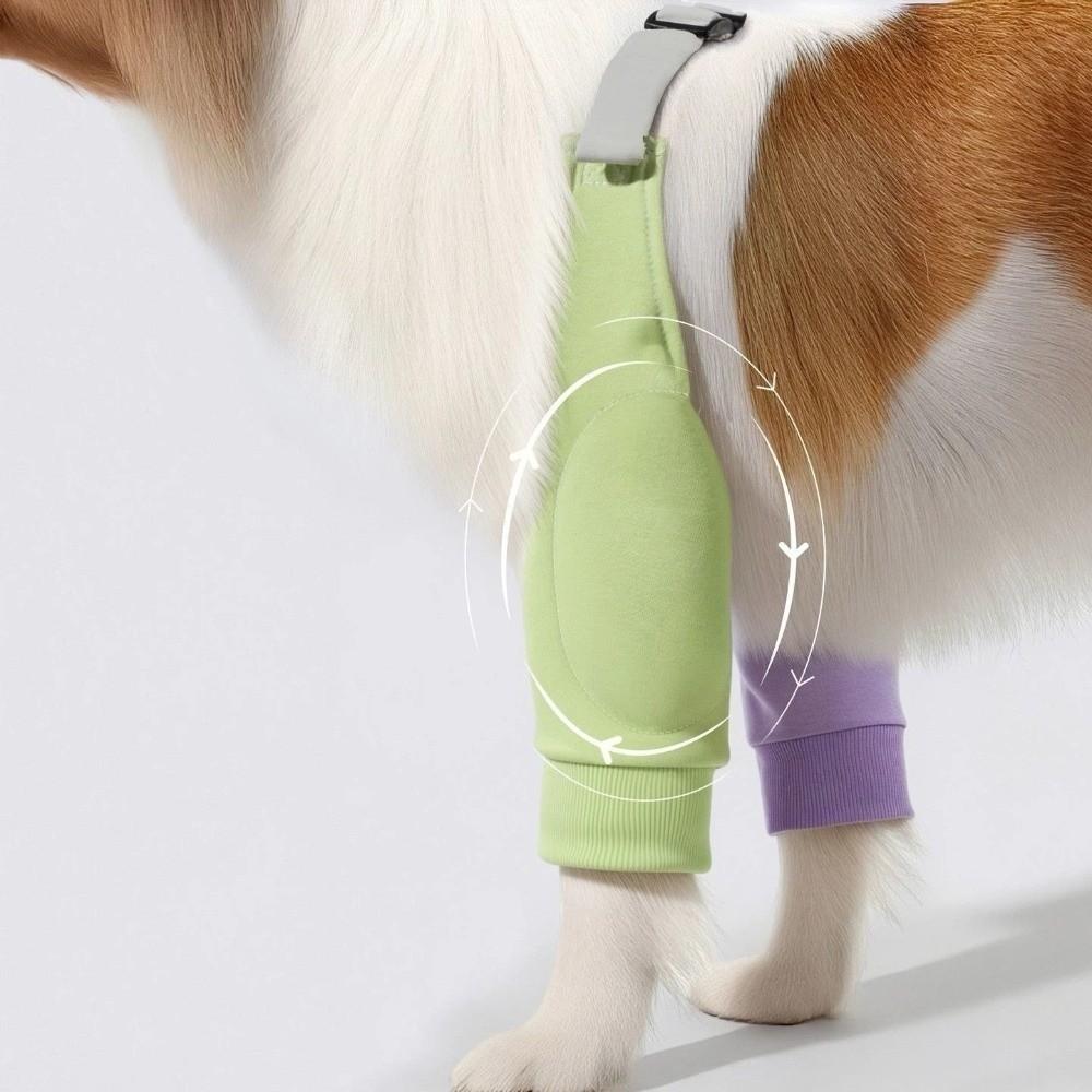 Anti-Lick Dog Knee Brace Warmth Pet Front Leg Support Easy Wear Dog Knee Pads Shoulder Support