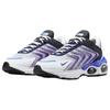 Nike Air Max TW 'Persian Violet' Men's DQ3984-105