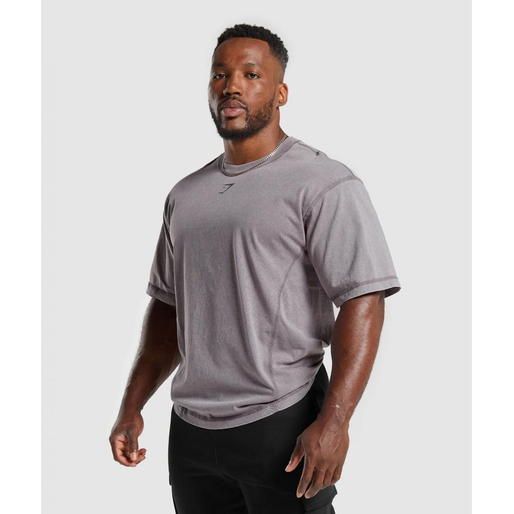Gymshark HeriTage Washed T shirT Fog Purple A4a9h pbvT