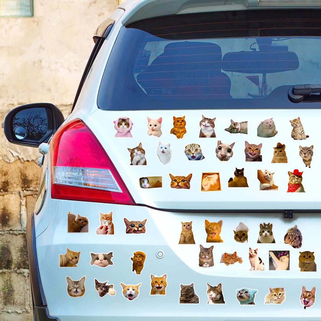 50PCS Realistic Cat Stickers, Cute Dumbfounded Expression Decals for Water Bottle, Notebook & Journal