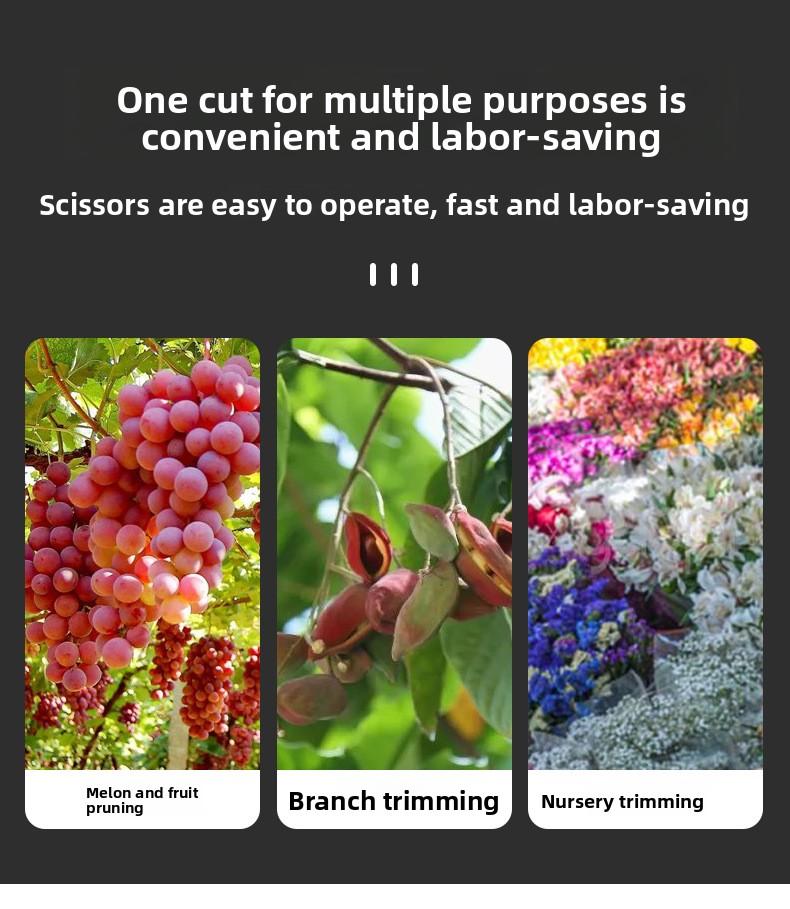 190mm Straight Head Pruning Shears Non-slip HandleStainless Steel Outils Manuels Household Bonsai Garden Scissors Pruing Shear