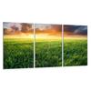 Glas-Kochfeld-Schutzplatte 3x30x52