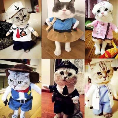 Urashima Tora Neko Pet Costume - Spring/Summer Stand-up Prank Outfit for Dogs