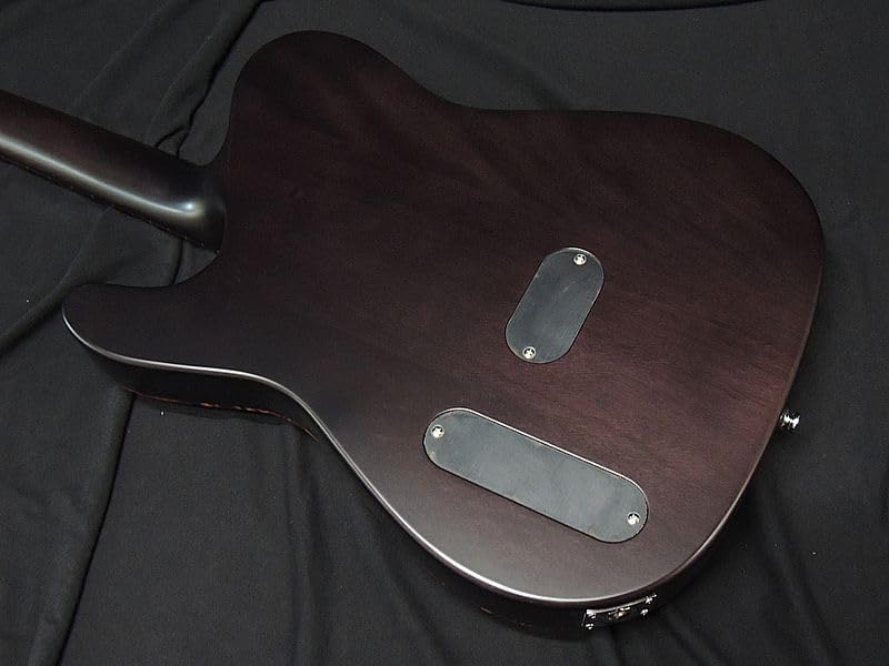 SCHECTER SNTL Nylon String Oriental Line Schecter Thin Body Electric Guitar F Hole Electric Acoustic Telecaster Shape Satin Natural Passive Minor