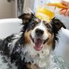 Indoor Cat and Dog Shampoo Grooming Brush, Pet Bath Massage Brush, Dog Comb for Young Long Hair or Short Hair Dogs and Cats with Massage Function