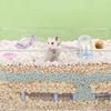 5.5cm Diam Hamster Tunnel Tubes Set DIY Hamster Movement Tunnel  Small Pet Supplies