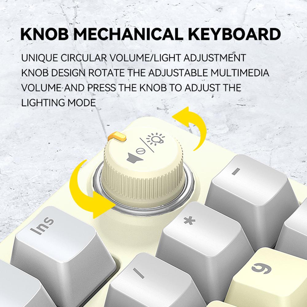 T WOLF T50 Mechanical Keyboard 96+1 Keys Wired Gaming Keyboard High quality ABS Dual Color Molding Keycap Blue Switches