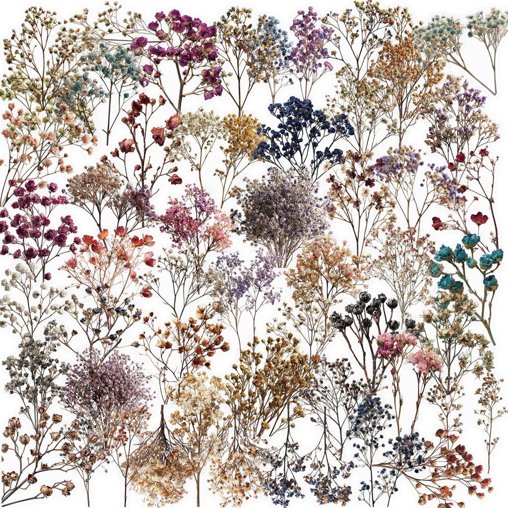 50Pcs Dried Flower Collection Record PET Stickers Decorative handmade Scrapbooking Material Diary Album Craft Supplies