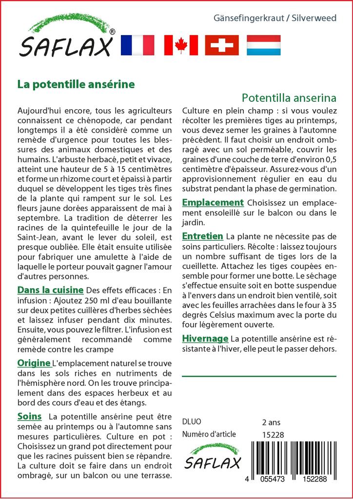 SAFLAX Garden In the Bag - Silverweed - 20 Seeds - With Substrate In a Fitting Stand Up Bag - Potentilla Anserina