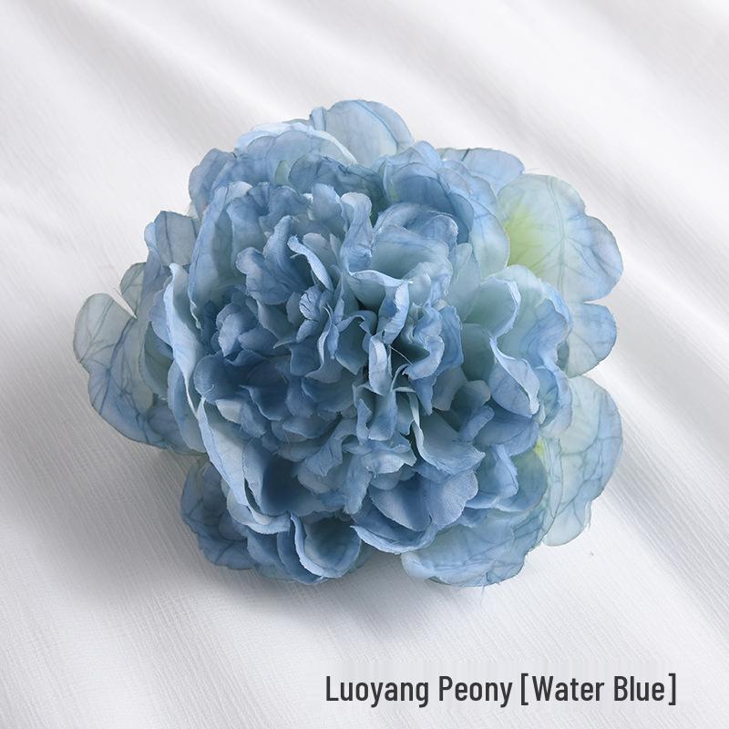 Modern Simple Flower Curtain Tiebacks – Window Decoration Accessories