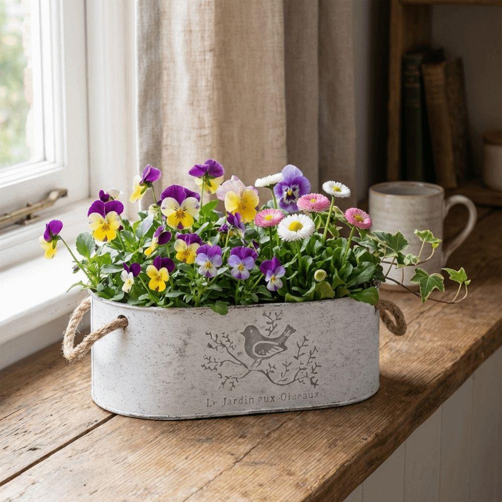 Eisen-Blumenkübel im Vintage-Stil, verwitterte Oberfläche, verschleißfest, Sukkulenten-Pflanzgefäß, dekorativer Topf, große Kapazität