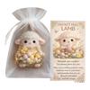 Easter For POCKET Hug Acrylic Card with Handmade Details Including Bunny Lamb Chick and Cross for Emotional Support