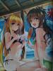 [USED] Collector's Edition Comic To Love-Ru Darkness Art Book Harem Gold
