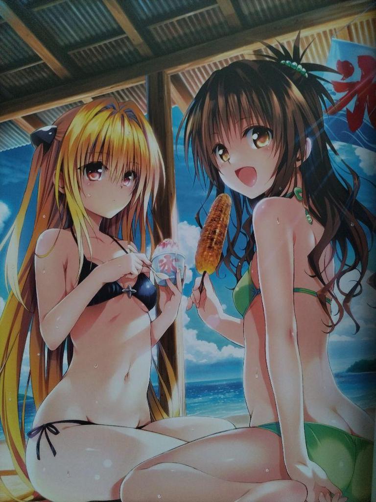 [USED] Collector's Edition Comic To Love-Ru Darkness Art Book Harem Gold
