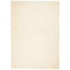 VidaXL Soft and Washable Short Pile Rug Cream 200x280 Cm 375043