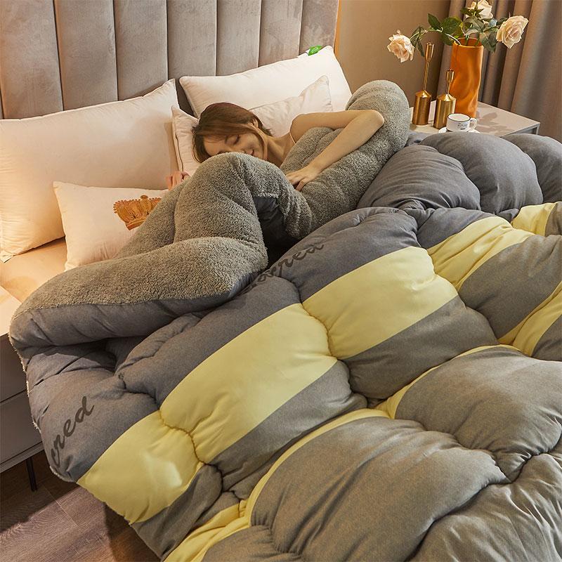 Winter 5Kg Lamb Velvet Quilt Dormitory Single Double Home Hotel Quilt Core 1.5M Thickened 1.8M Luxury Comforter Super Warm Quilt