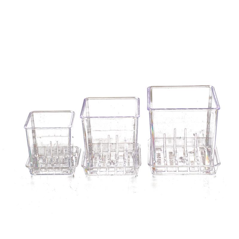 Square Transparent Plastic Flower Pot for Phalaenopsis Orchids, Breathable, Ideal for Living Room or Indoor Window Sill
