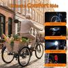 6MSKS 24" elektrische driewieler 250W krachtige motor 36v15ah afneembare batterij langste actieradius 31 mijl recreatie
