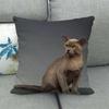 Fashionable cats and cute pet animals Digital printing short plush pillow covers for car sofa office cushion cover home goods