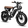 MAXTURN MX10 Elektrisches Mountainbike mit 48V 13,5Ah Akku, Shimano 7-Gang