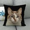 Uroczy zwierzęcy nadruk z kotem seria Sofa kreatywna poduszka prosta poduszka domowa impreza samochód
