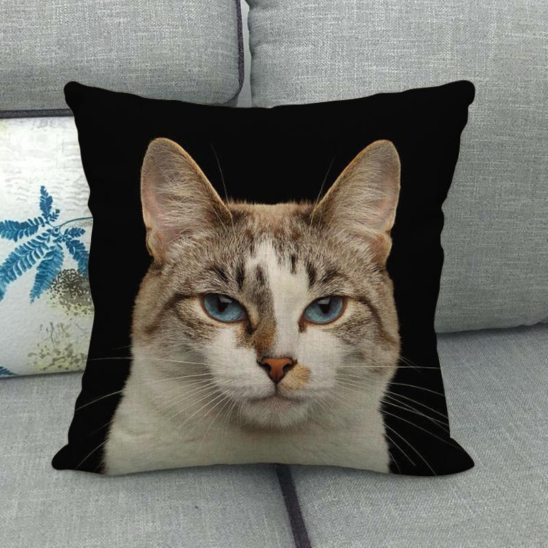 Uroczy zwierzęcy nadruk z kotem seria Sofa kreatywna poduszka prosta poduszka domowa impreza samochód